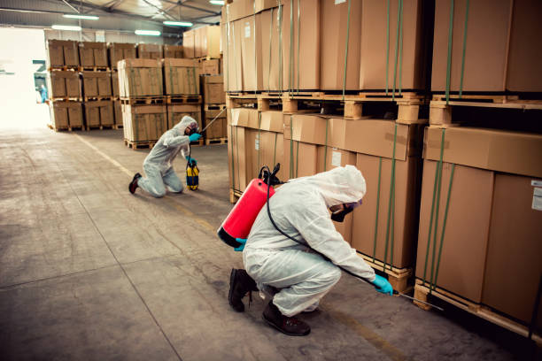Best Best Pest Control Companies  in Union City, OH