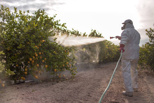 Best Pest Control Near Me in Union City, OH