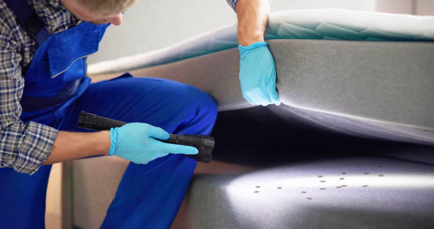 Professional Pest Control in Union City, OH