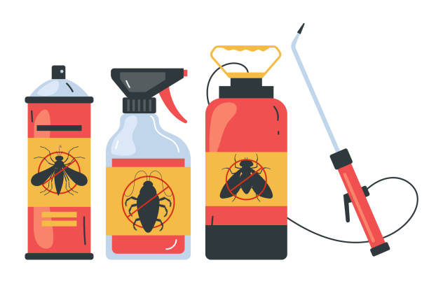 Best Wasp Removal Services  in Union City, OH