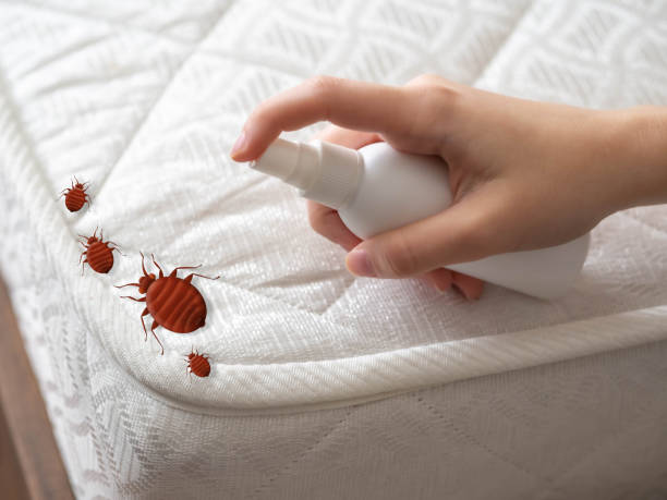 Best Cockroach Control Services  in Union City, OH