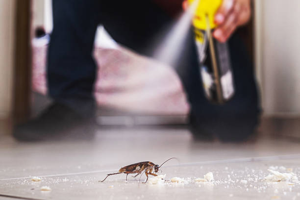 Best Wildlife Control Services  in Union City, OH