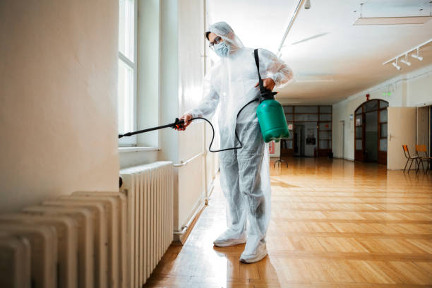 Best Insect Control  in Union City, OH